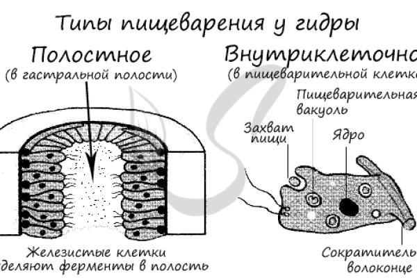 Кракен сс