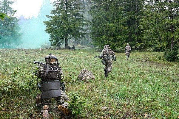 Кракен даркнет купить