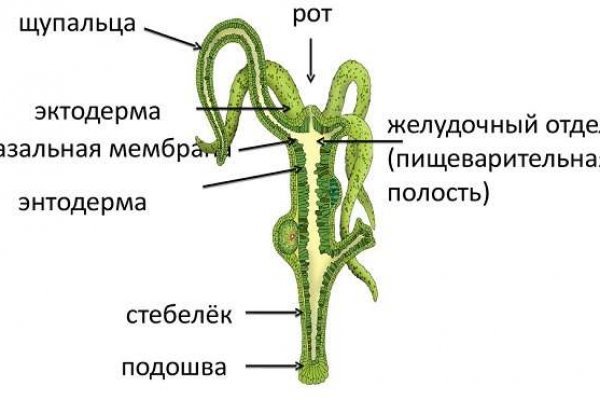 Кракен ссылка зайти