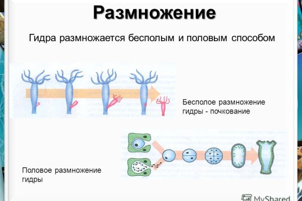 Новая ссылка на кракен